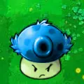 冰冰凉凉大喷菇