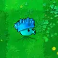海冰菇
