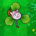 猫尾三叶草