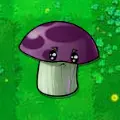 胆小毁灭菇
