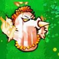 骄阳仙人掌